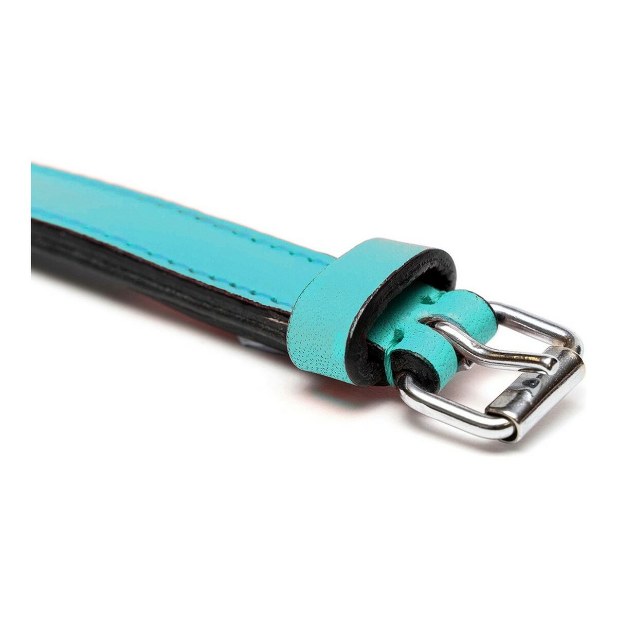 Collar de perro Gloria Acolchado Turquoise 40 cm (40 x 2 cm)-5