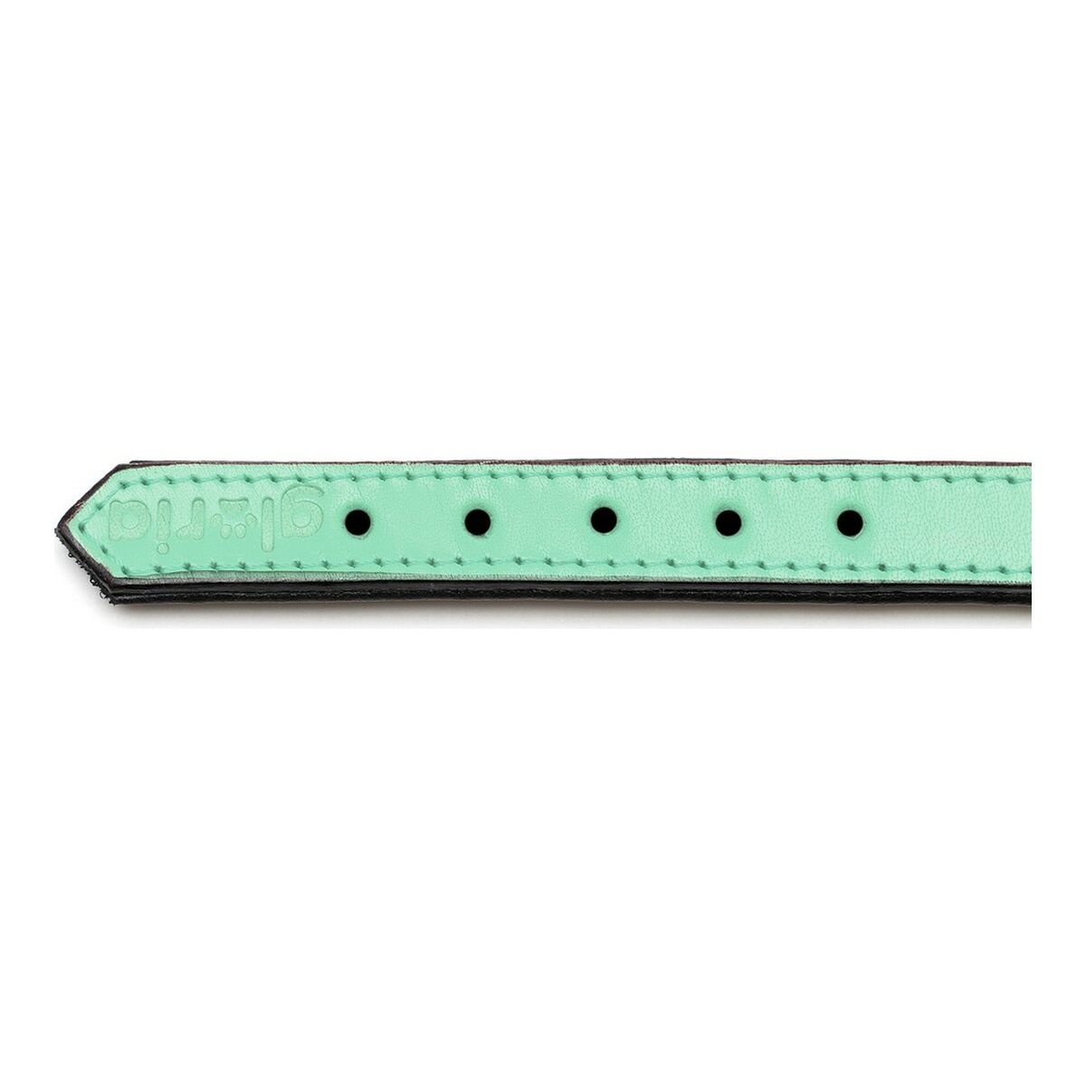 Hundehalsband Gloria Steppgrün (40 x 2 cm)-2