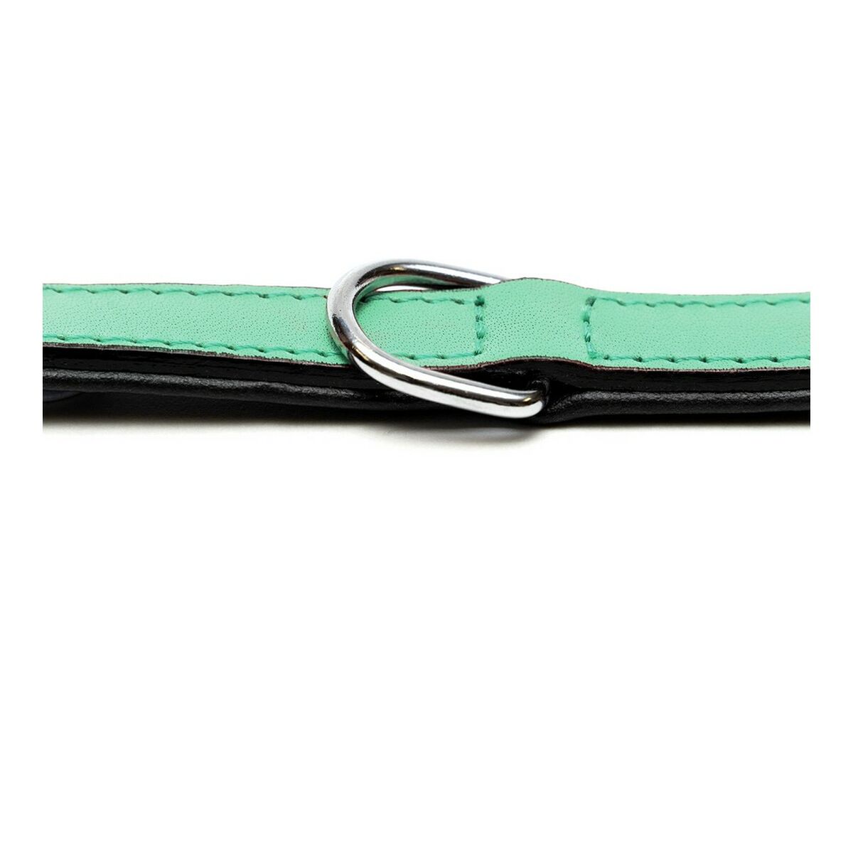 Hundehalsband Gloria Steppgrün (40 x 2 cm)-3