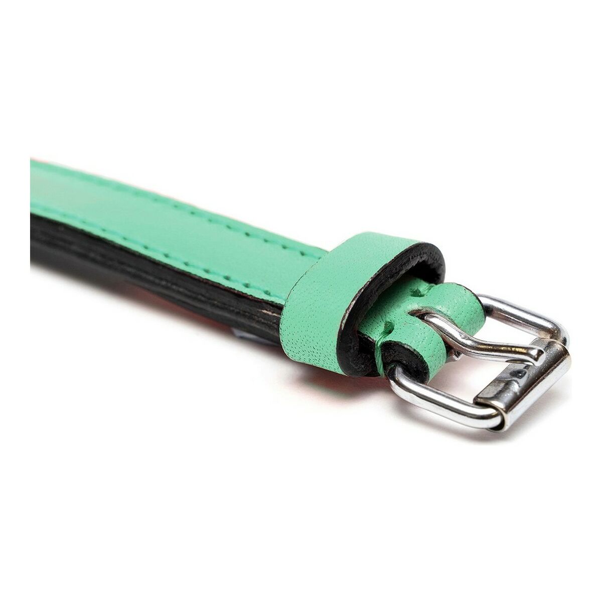 Hundehalsband Gloria Steppgrün (40 x 2 cm)-6