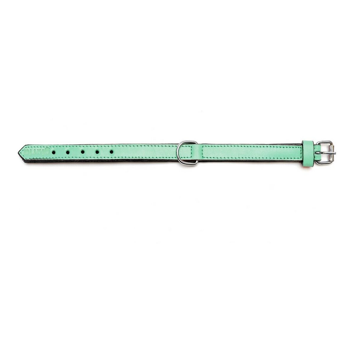 Hundehalsband Gloria Steppgrün (40 x 2 cm)-7