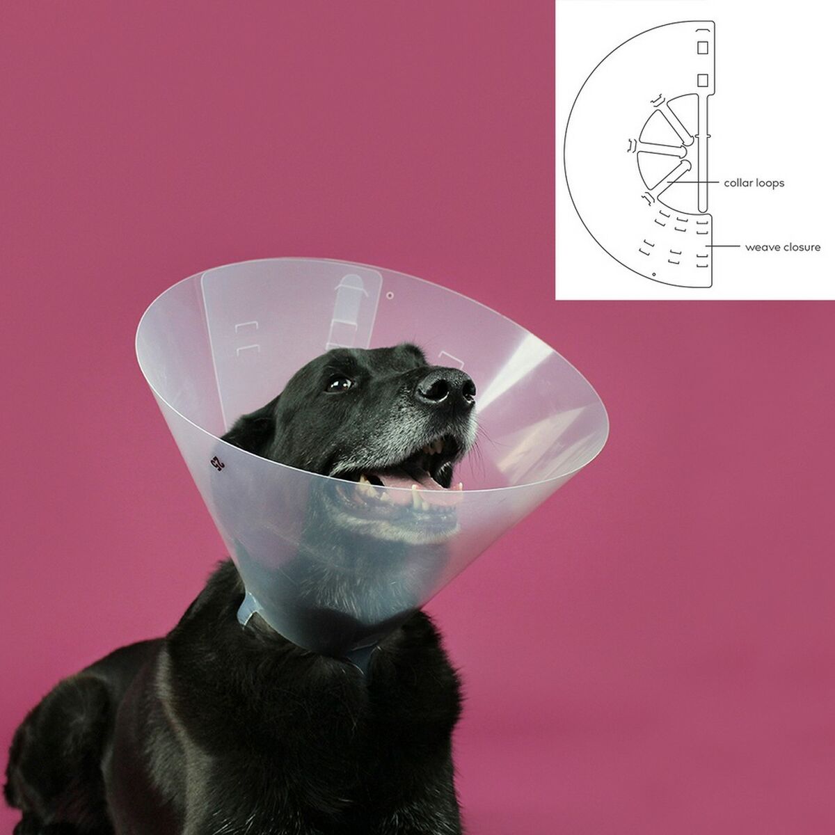 Coleira para cães Isabelino KVP Betsy Transparente (63-78 cm)-2