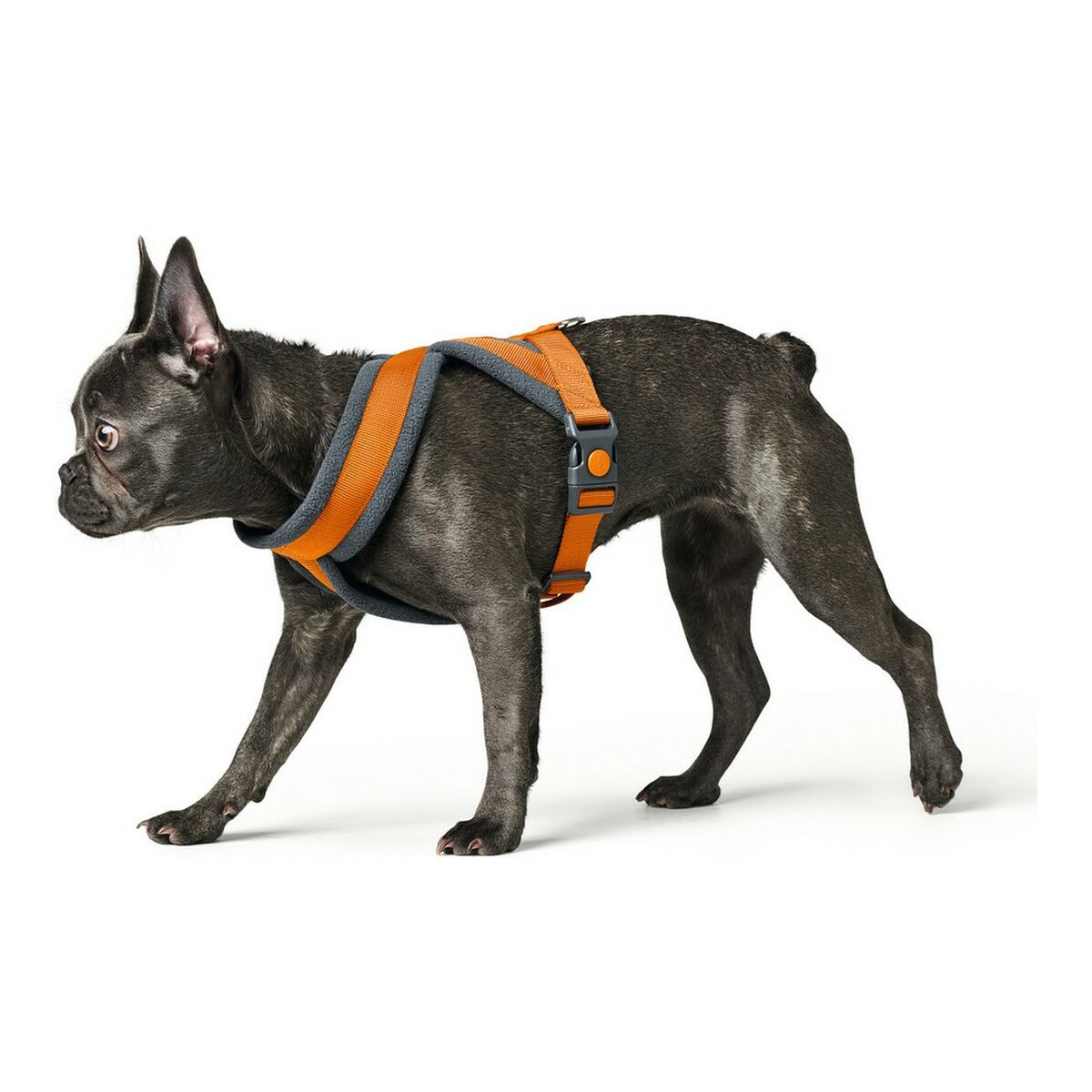 Hunter London Comfort 48-56 cm Orange S/M大小的狗-2