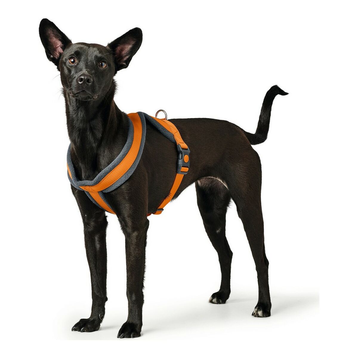 Arnés para perros Hunter London Comfort Naranja S/M 52-62 cm-2