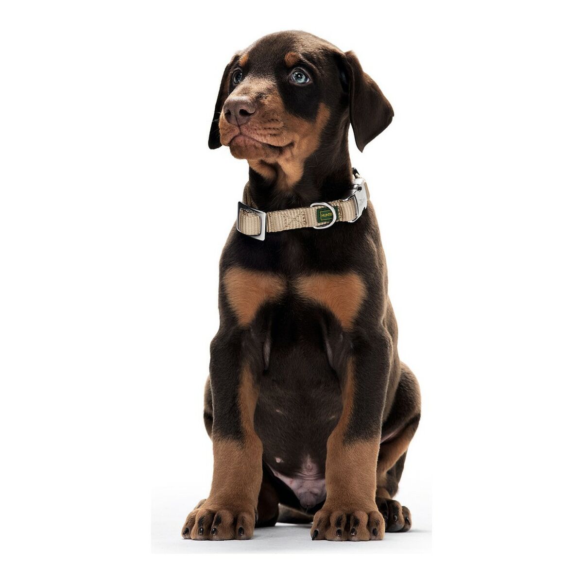 Hundehalsband Hunter Alu-Stark Größe L Dunkelblau (45-65 cm)-3