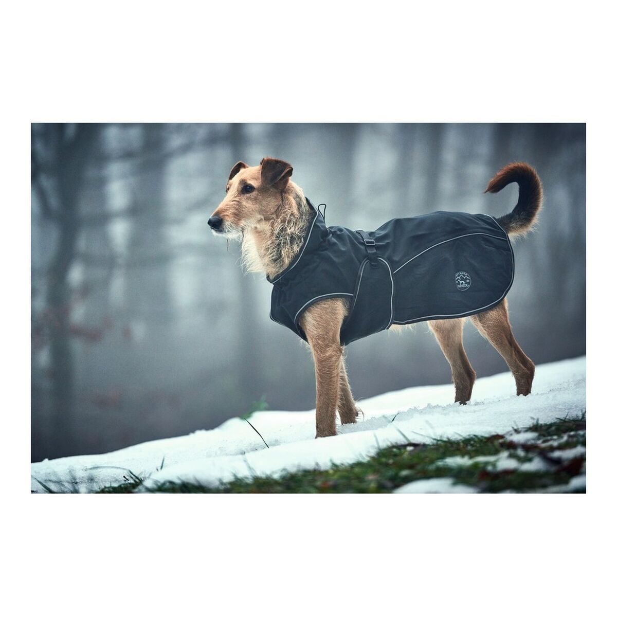 Abrigo para perros Norton 360 Uppsala Negro 60 cm-2