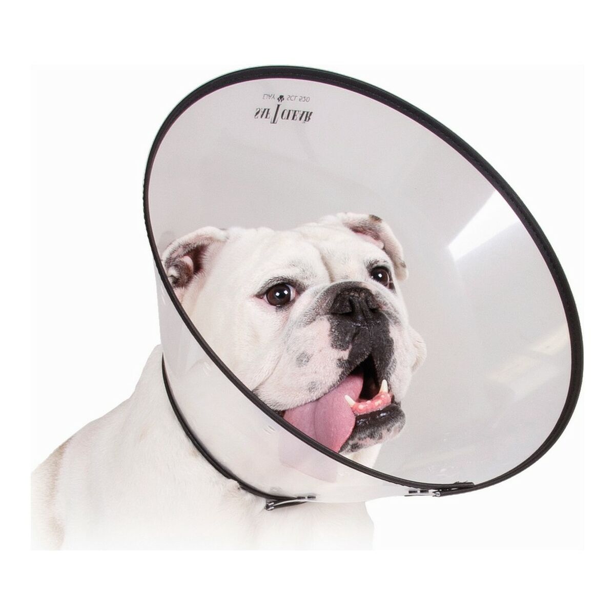 Coleira para cães Isabelino KVP Saf-T-Clear Transparente (30-76 cm)