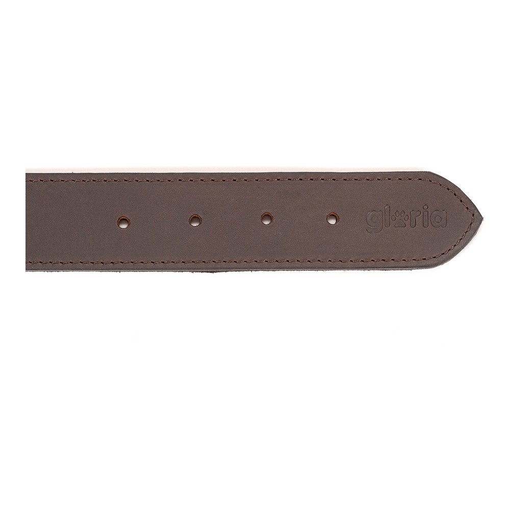 Gloria Brown Dog Collar (85 x 4 cm)-6