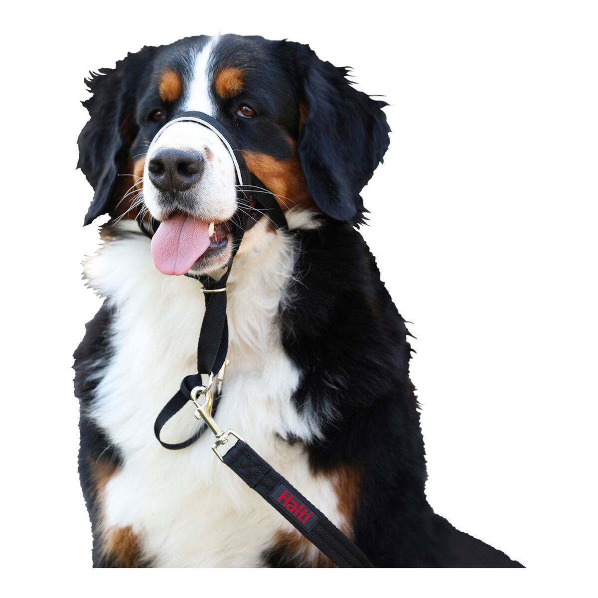 شركة الحيوانات Halti Dog Training Later Black Muzzle (31-40 سم)-6