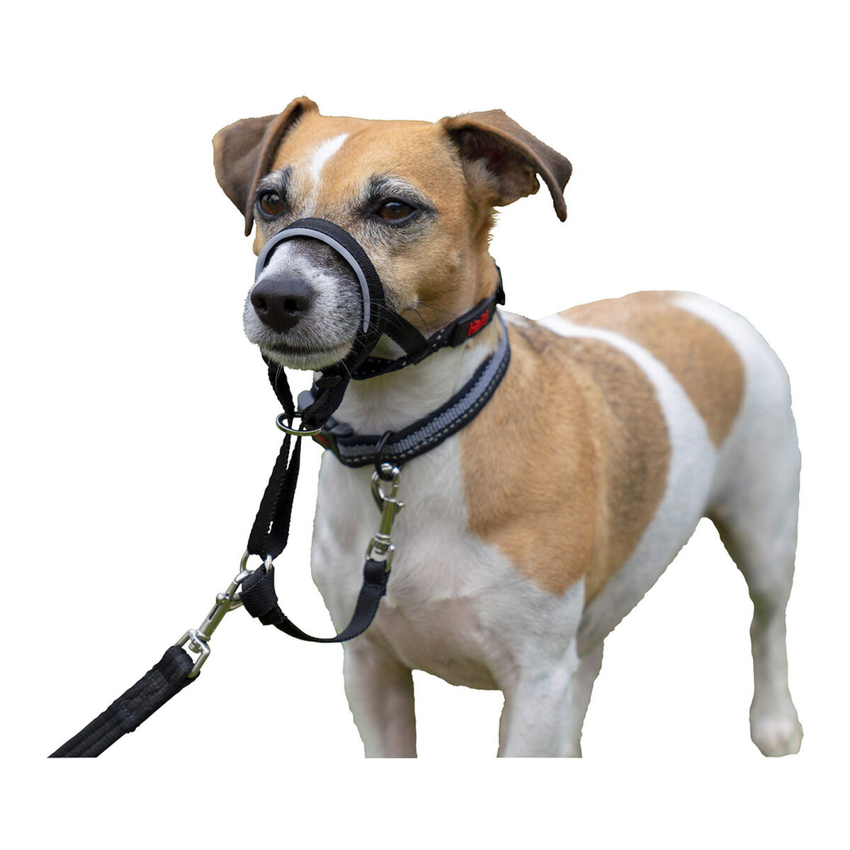 شركة الحيوانات Halti Dog Training Later Black Muzzle (31-40 سم)-7