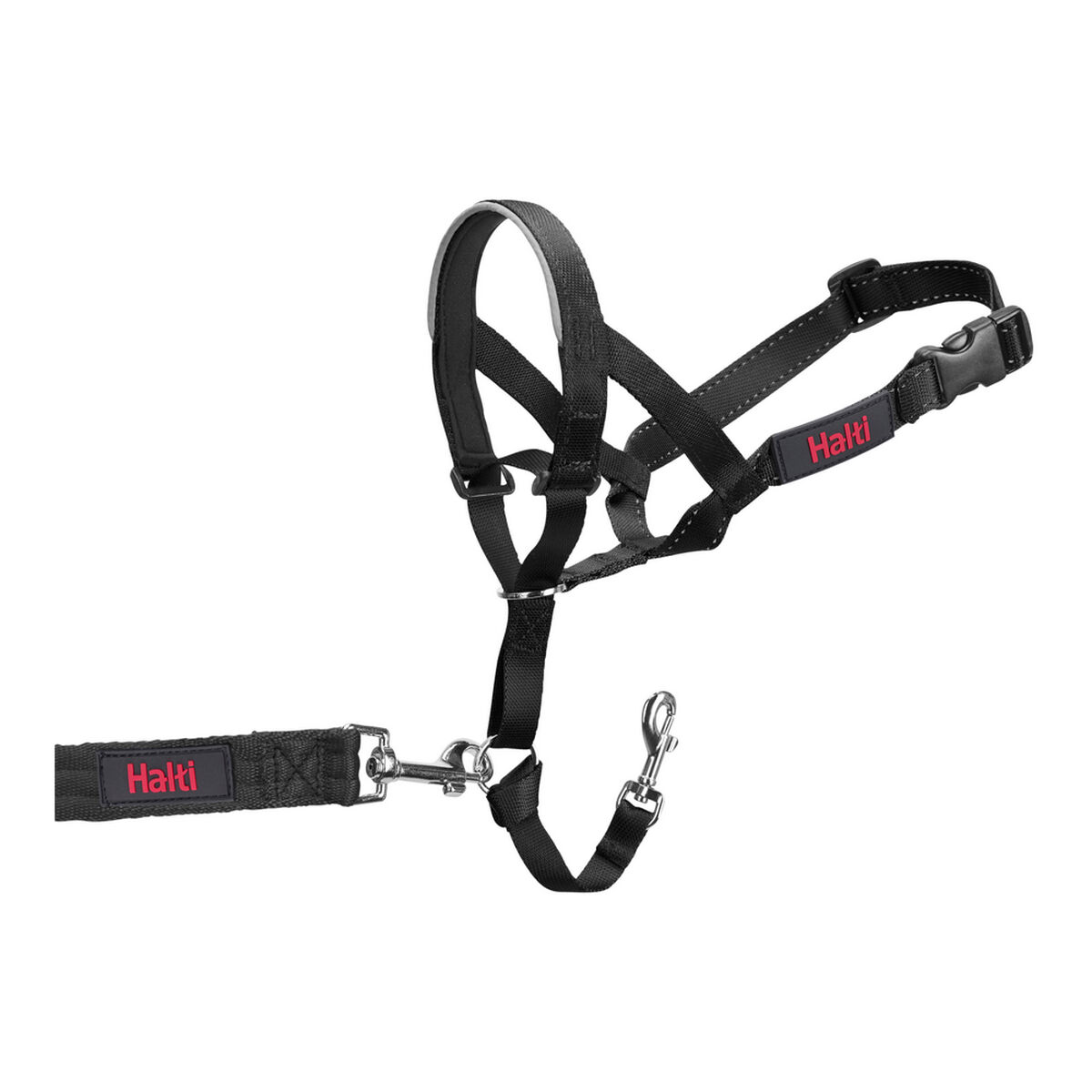 Coleira de ensaio de cães Company of Animals Halti Preto (35-48 cm)-8