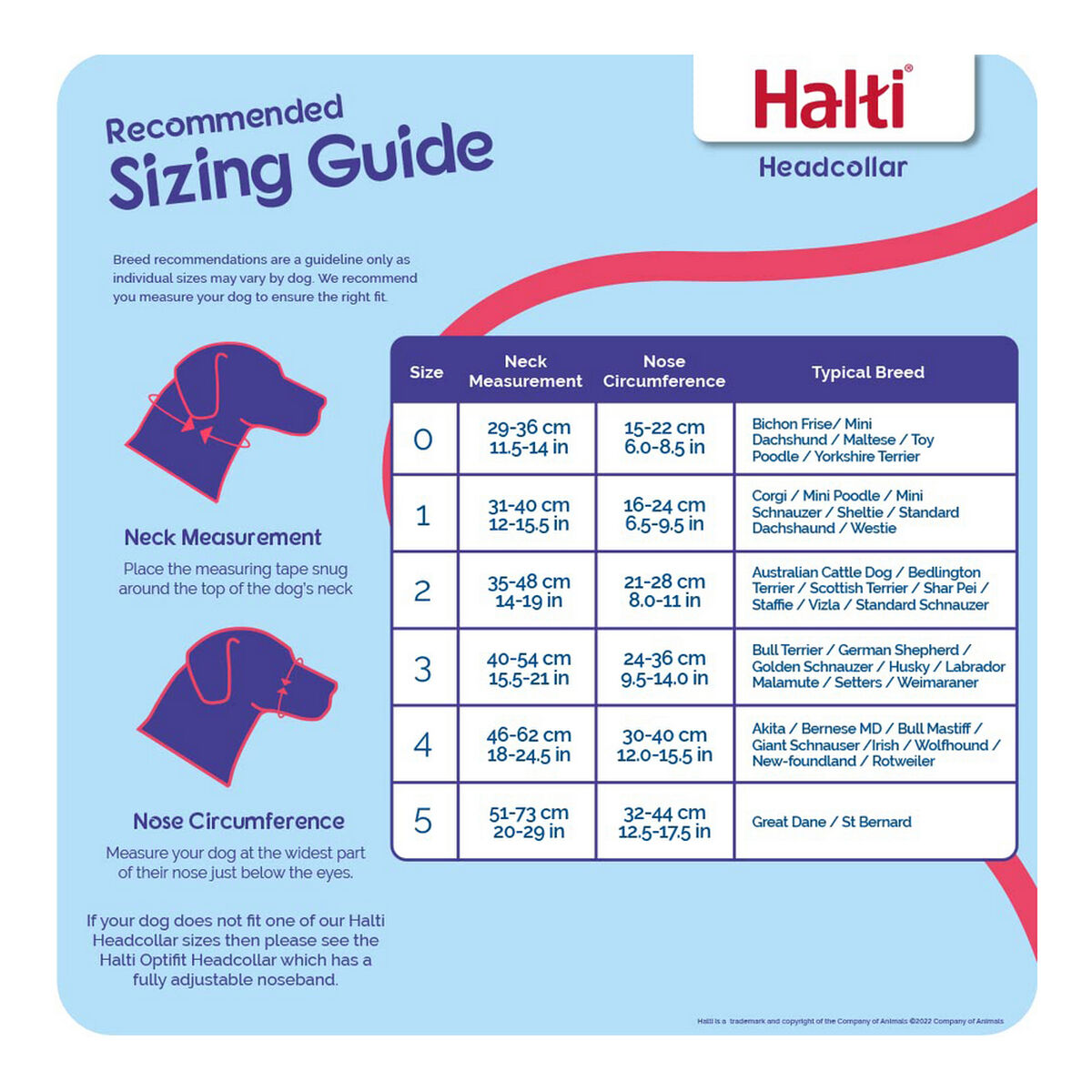 Εταιρεία ζώων Halti Dog Training Collar Black Muzzle (46-62 cm)-3