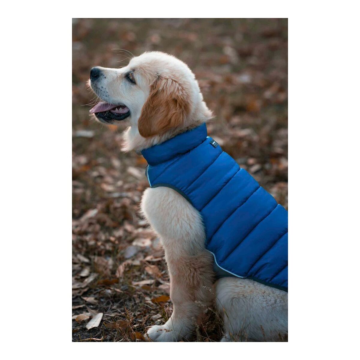 Casaco para cães Red Dingo Puffer turquesa 35 cm-4