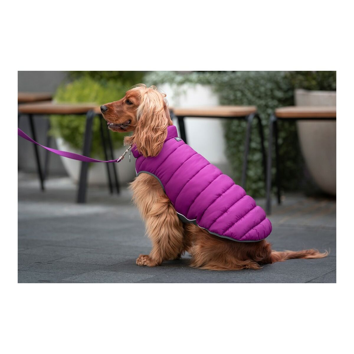Пальто для собак Red Dingo Puffer 50 cm Рожевий/Фіолетовий-4