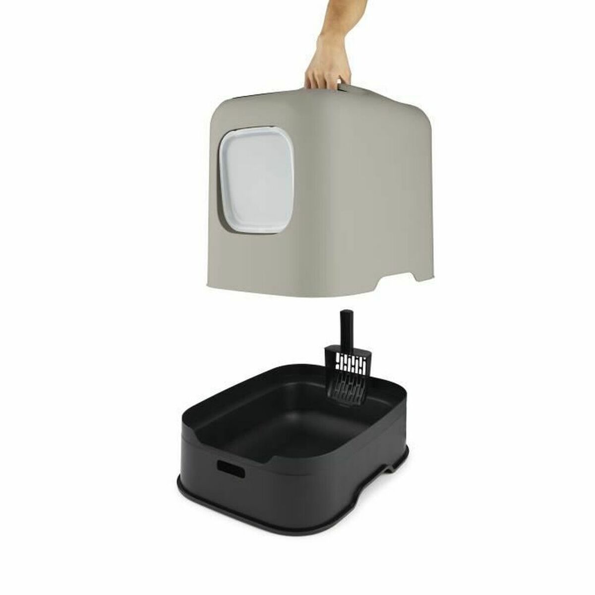 Cassetta per il bagno per gatti Rotho My Pet CAPUCCINO Plastica