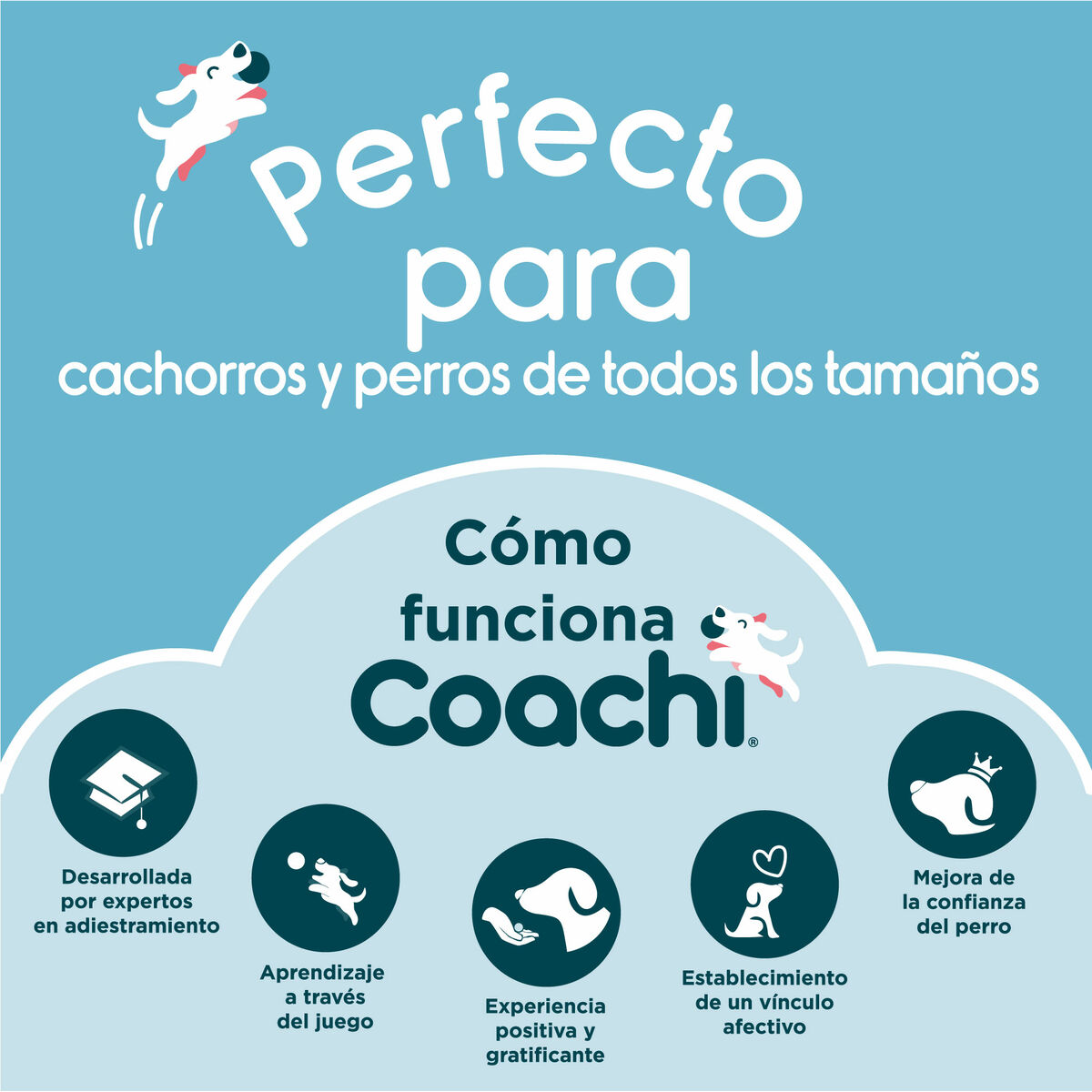 Coachi ысқырығы-3