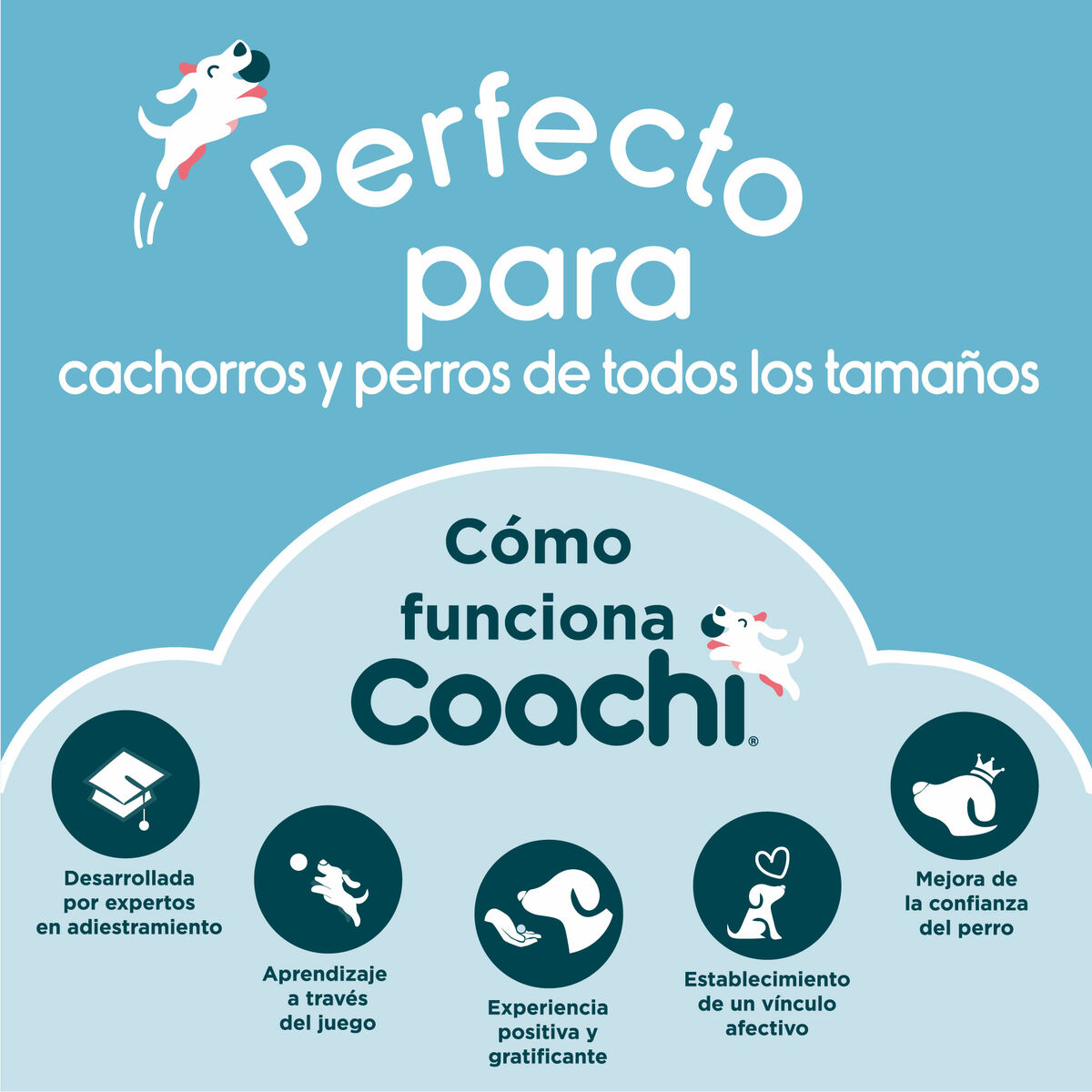 Hesser Coachi Trem & Treat Coral-3
