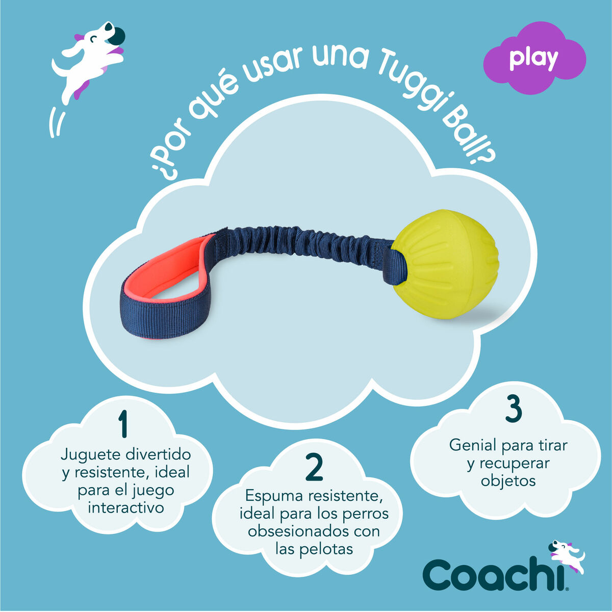 Training toy Coachi TUGGI BALL Көк-4