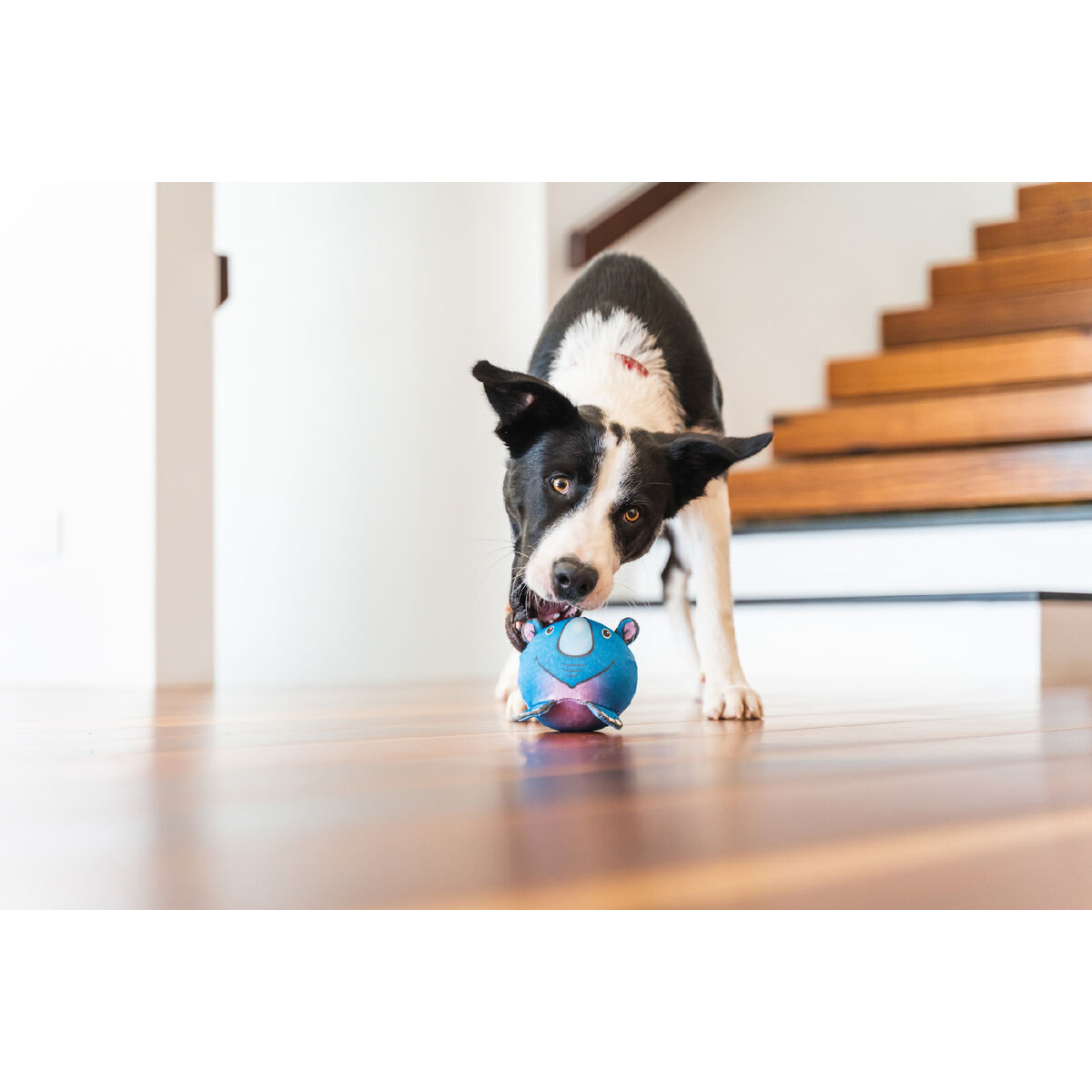 Brinquedo para cães Red Dingo 10 cm Rinoceronte-2