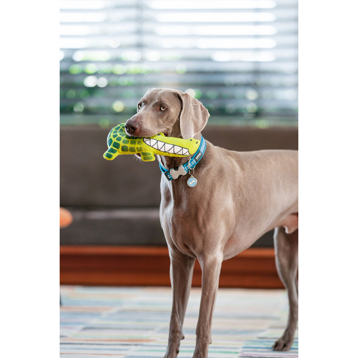 Brinquedo para cães Red Dingo 27,5 cm Crocodilo Interior/Exterior-3