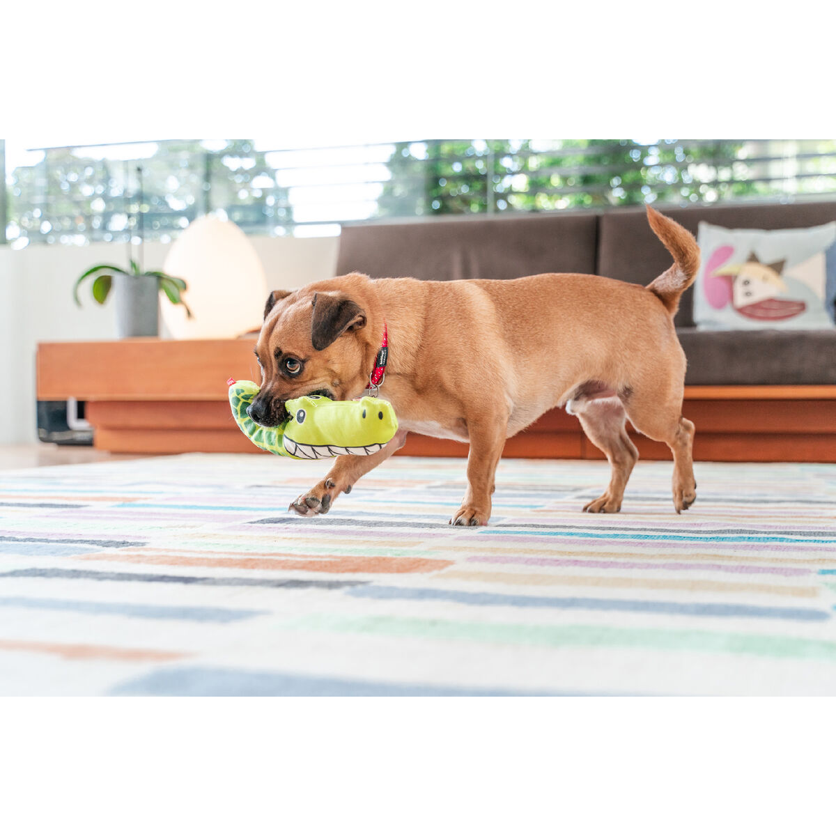 Brinquedo para cães Red Dingo 27,5 cm Crocodilo Interior/Exterior-4