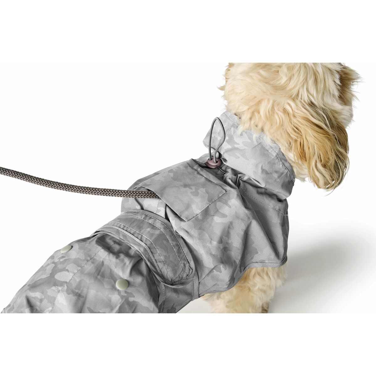Rainbow pour chiens Hunter Gris 25 cm-2