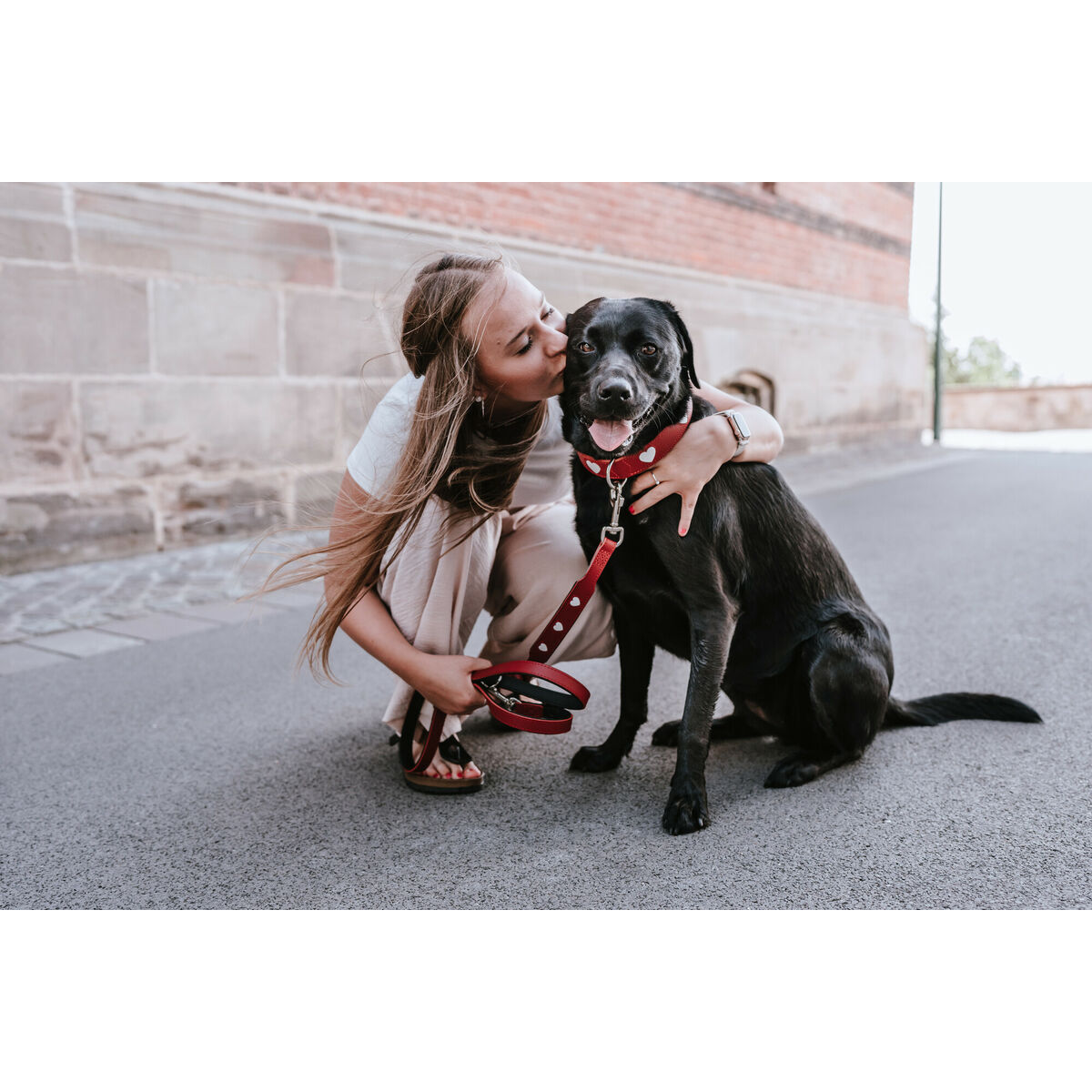 Dog leash Hunter Red 2m قابل للتعديل-2
