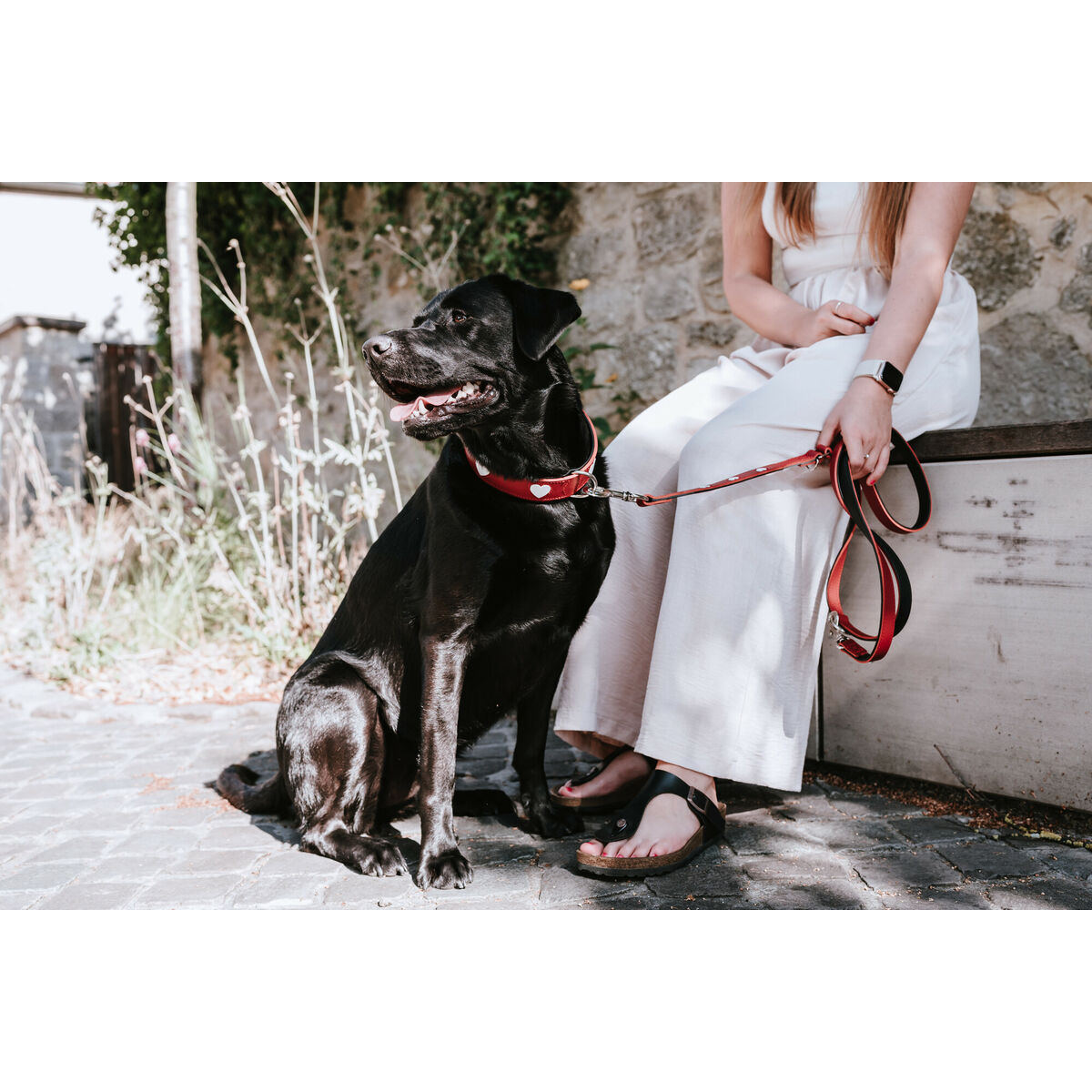 Dog leash Hunter Red 2m قابل للتعديل-3