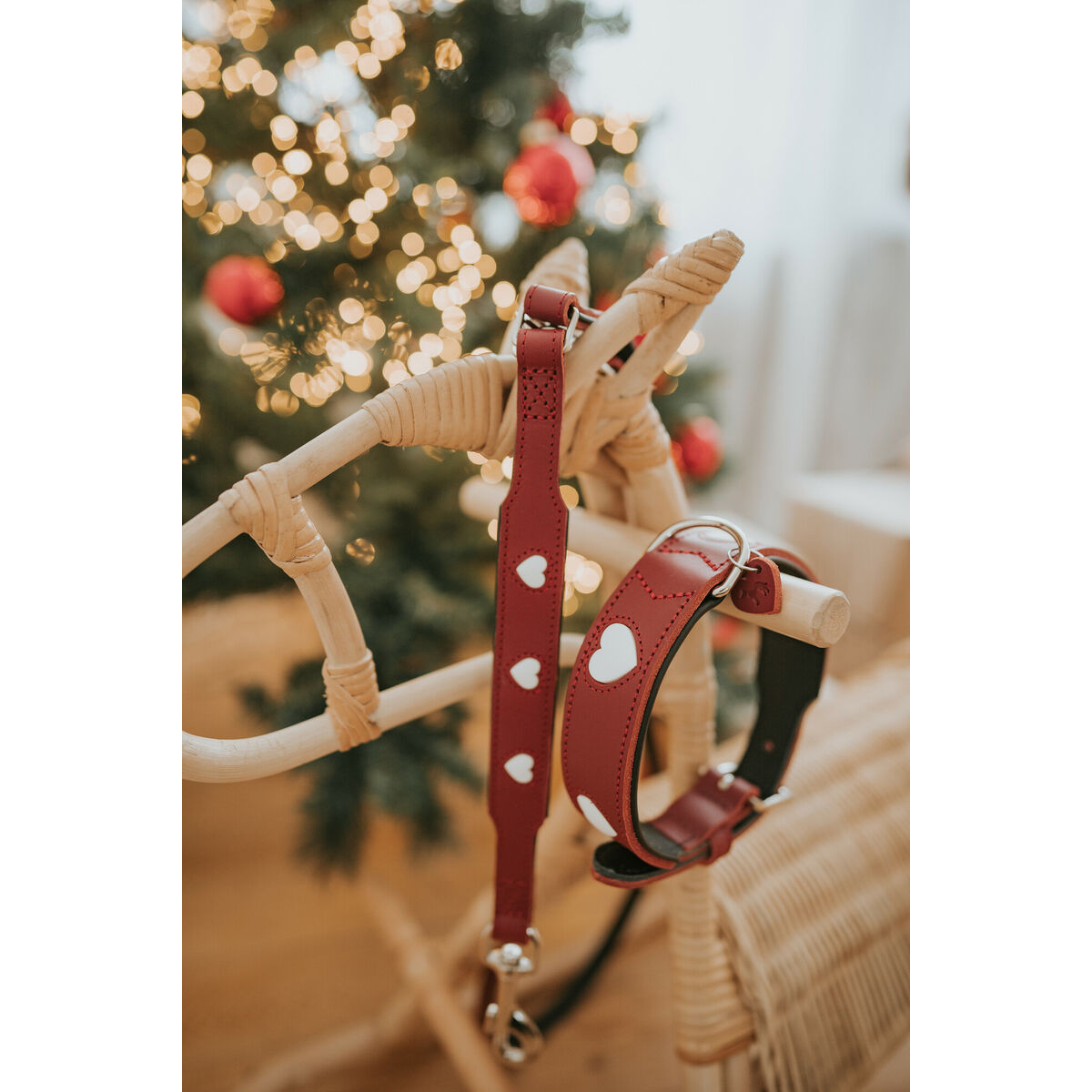 Dog leash Hunter Red 2m قابل للتعديل-4