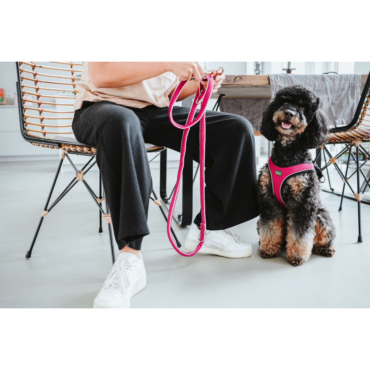 Упряжь для собак Hunter Comfort Фуксия XXS 26-30 cm-2
