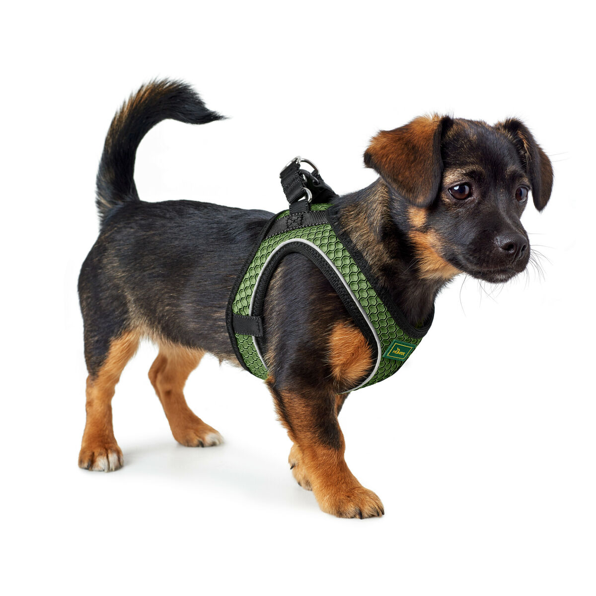 Harnais pour chiens Hunter Comfort Vert M/L 58-63 cm-3
