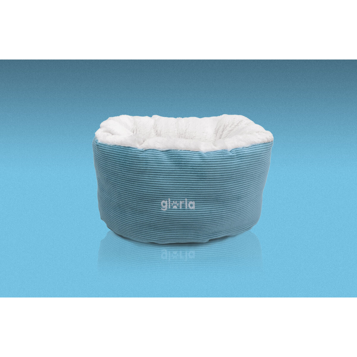 Gloria Capileira Câine Pat Albastru-3