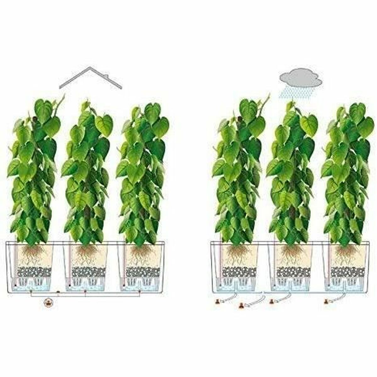 Устройство для посева с автополивом Lechuza TRIO Cottage Чёрный полипропилен 100 x 32,5 x 34,5 cm-5