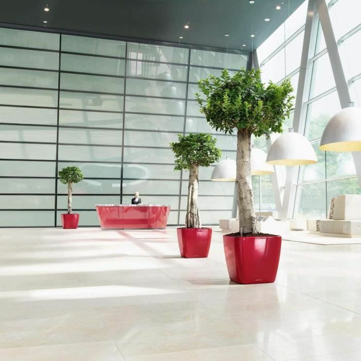 Otomatik suwaryş küýzesi Lechuza Gyzyl 50 x 50 x 46,5 sm Plastmassa-5