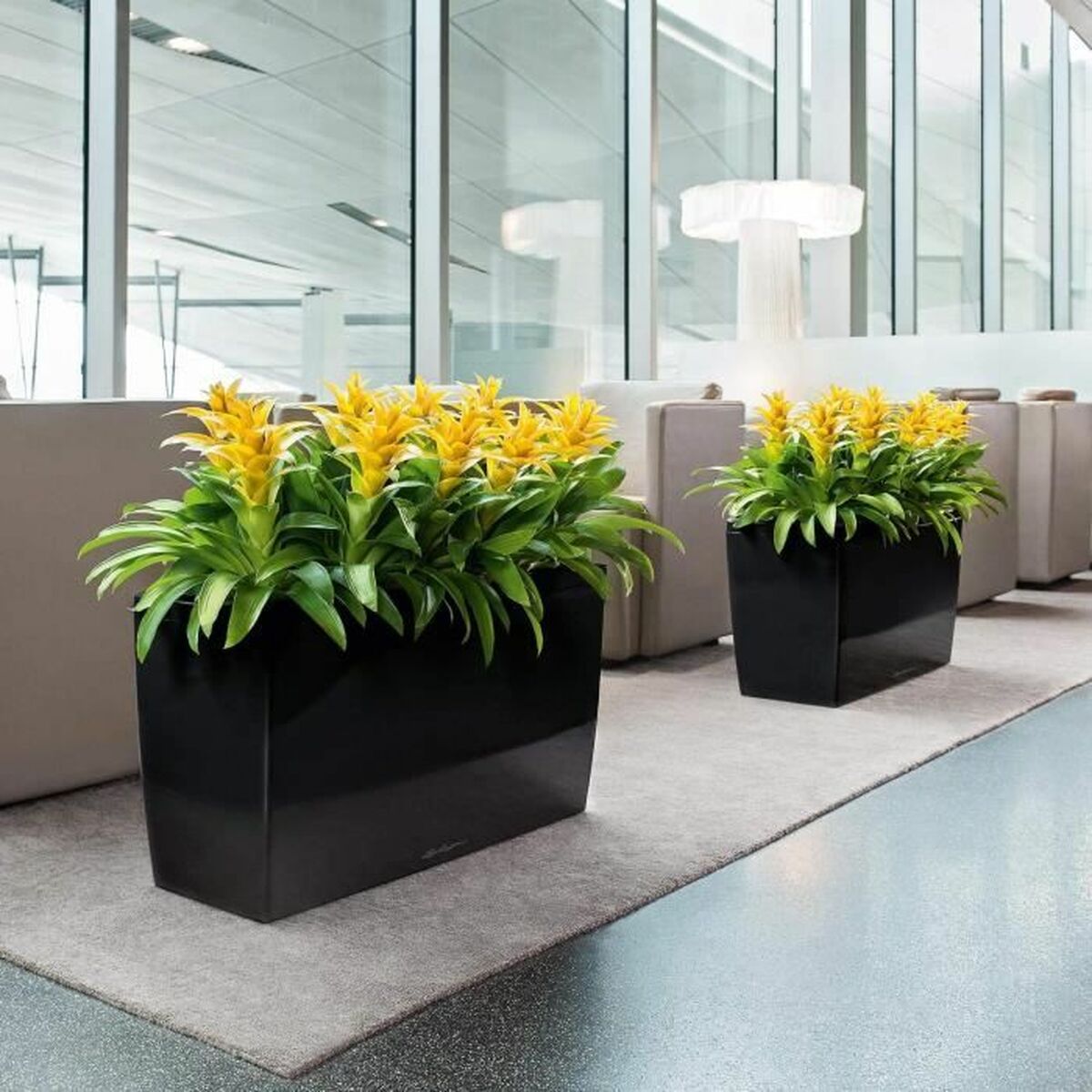 Bank Lechuza Plastic Dik burçly-5