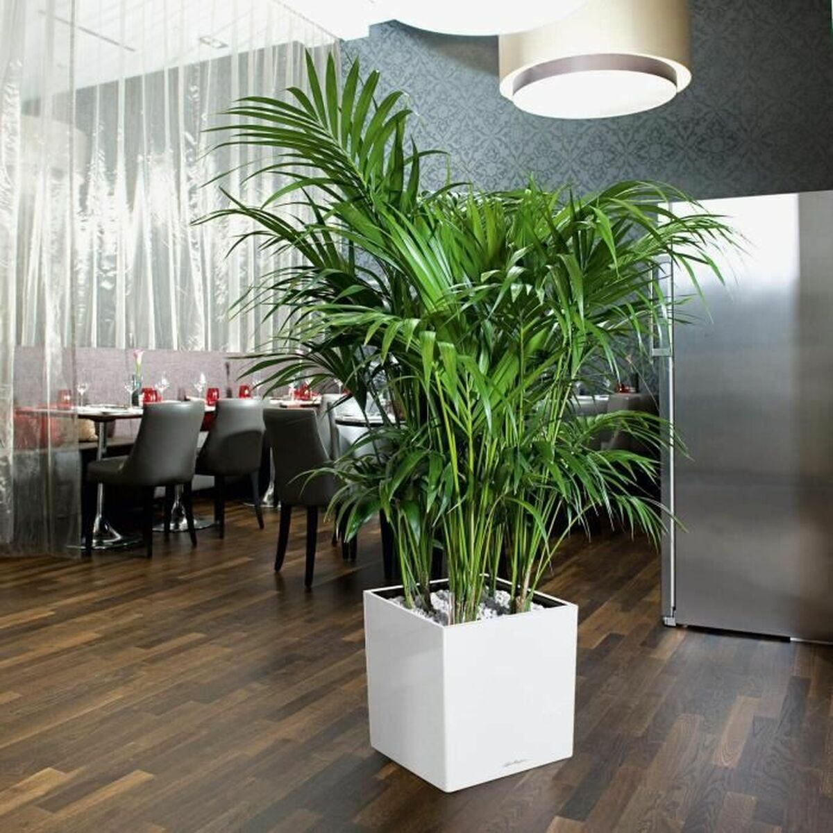 Banka Lechuza Ø 50 sm Gara Çal polipropilen-3