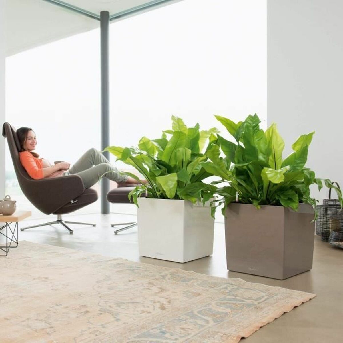 Banka Lechuza Ø 50 sm Gara Çal polipropilen-4