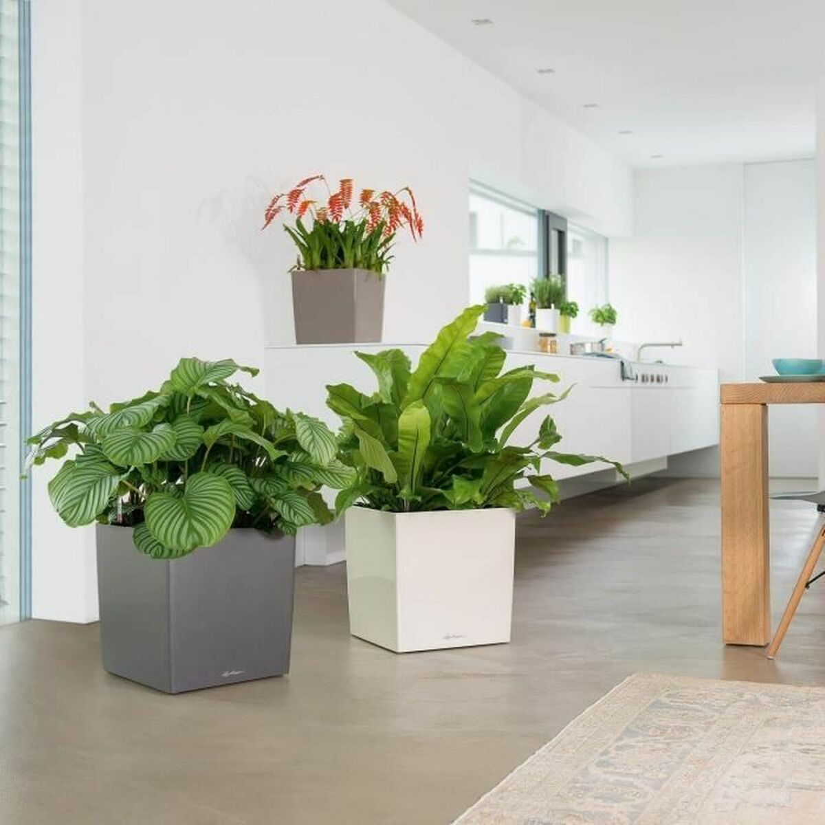 Banka Lechuza Ø 50 sm Gara Çal polipropilen-5