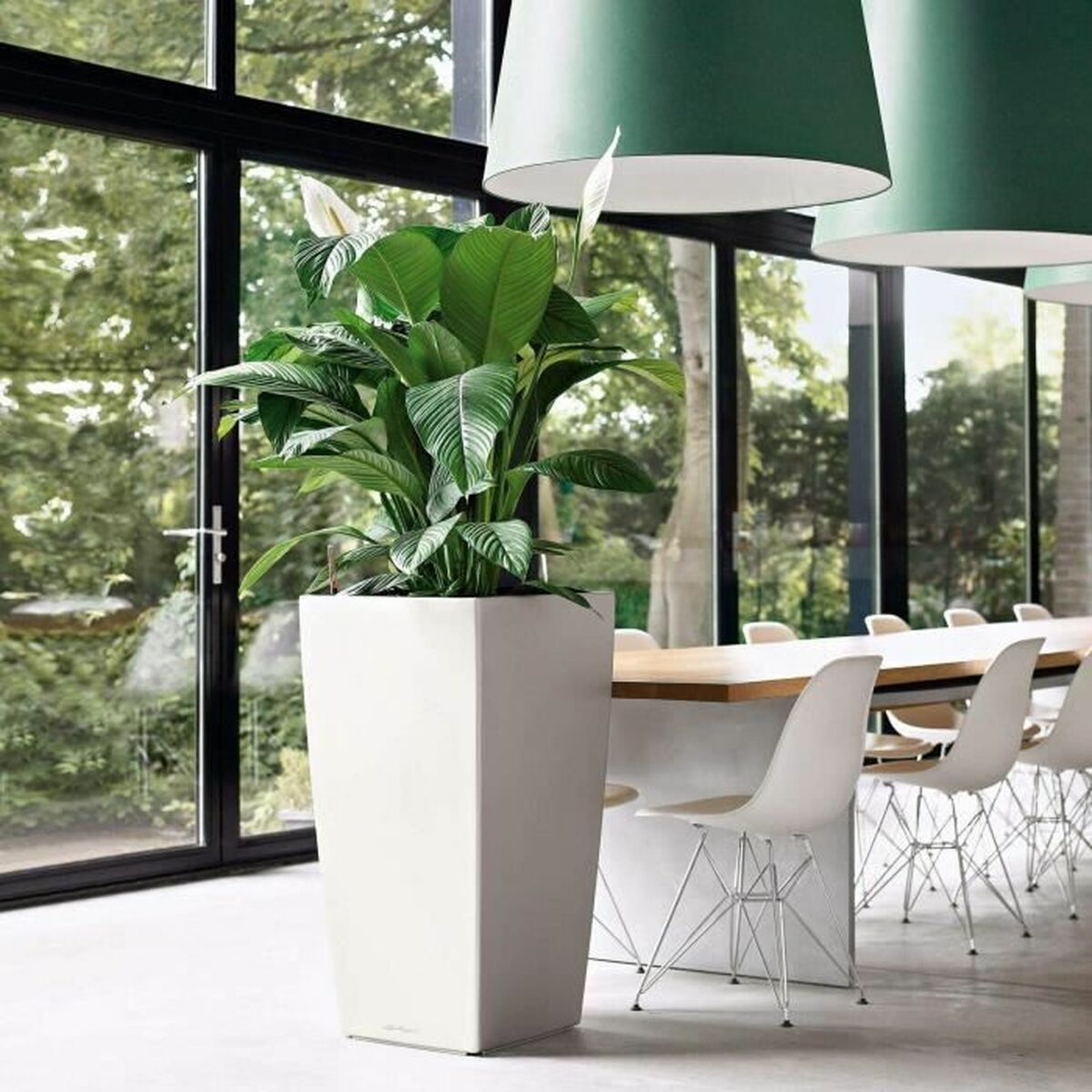 Bank Lechuza 50 x 50 x 95 sm Plastmassa Dik burçly-3