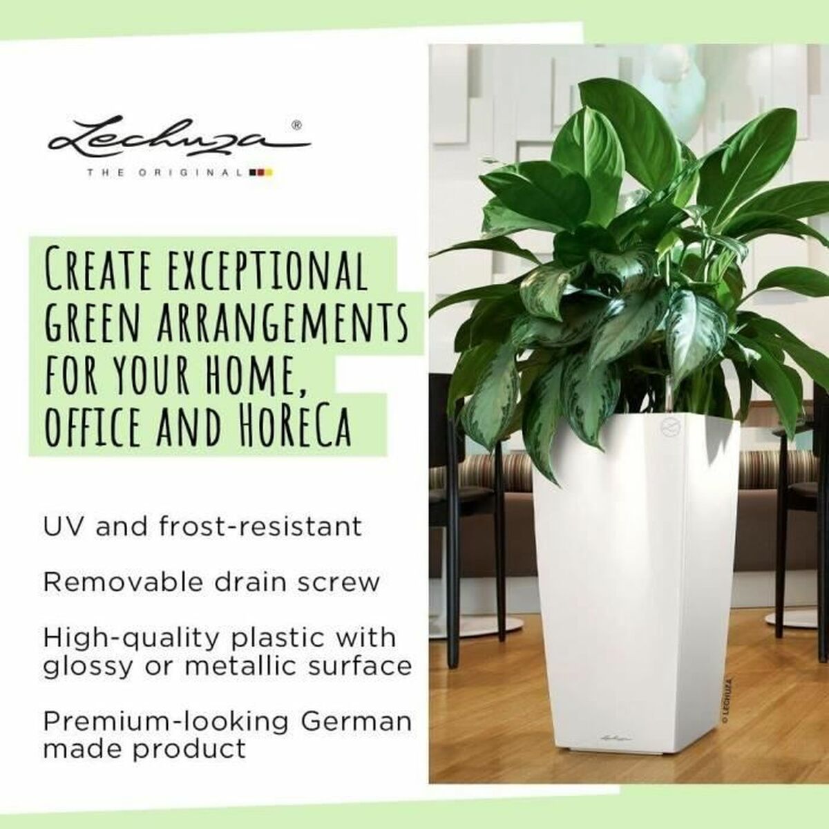 Bank Lechuza 40 x 40 x 76 sm Gara polipropilen Plastmassa Dik burçly-5