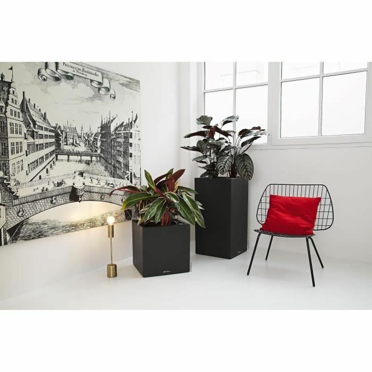 Bank Lechuza 40 x 40 sm Polipropilen Plastmassa-5