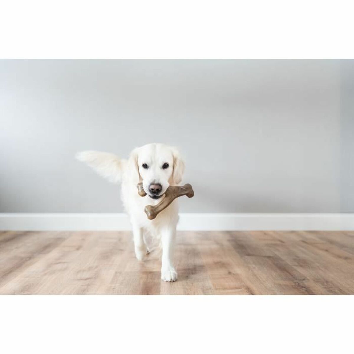 Прорезыватель для зубов для собак Benebone-4