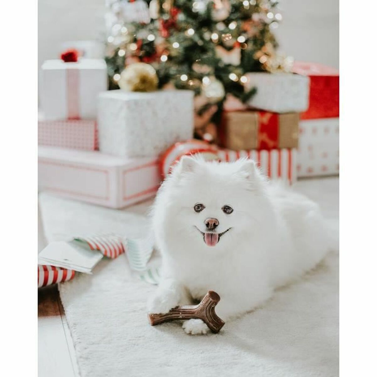 Köpek diş kaşıyıcı Benebone kahverengi hayvanlar-2