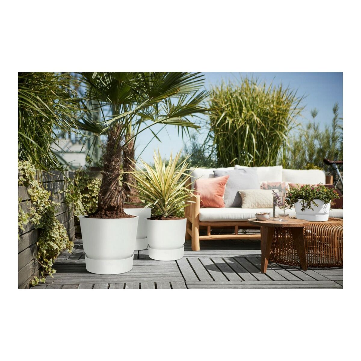 Bank Elho 0464344715000 Ak tegelek-5