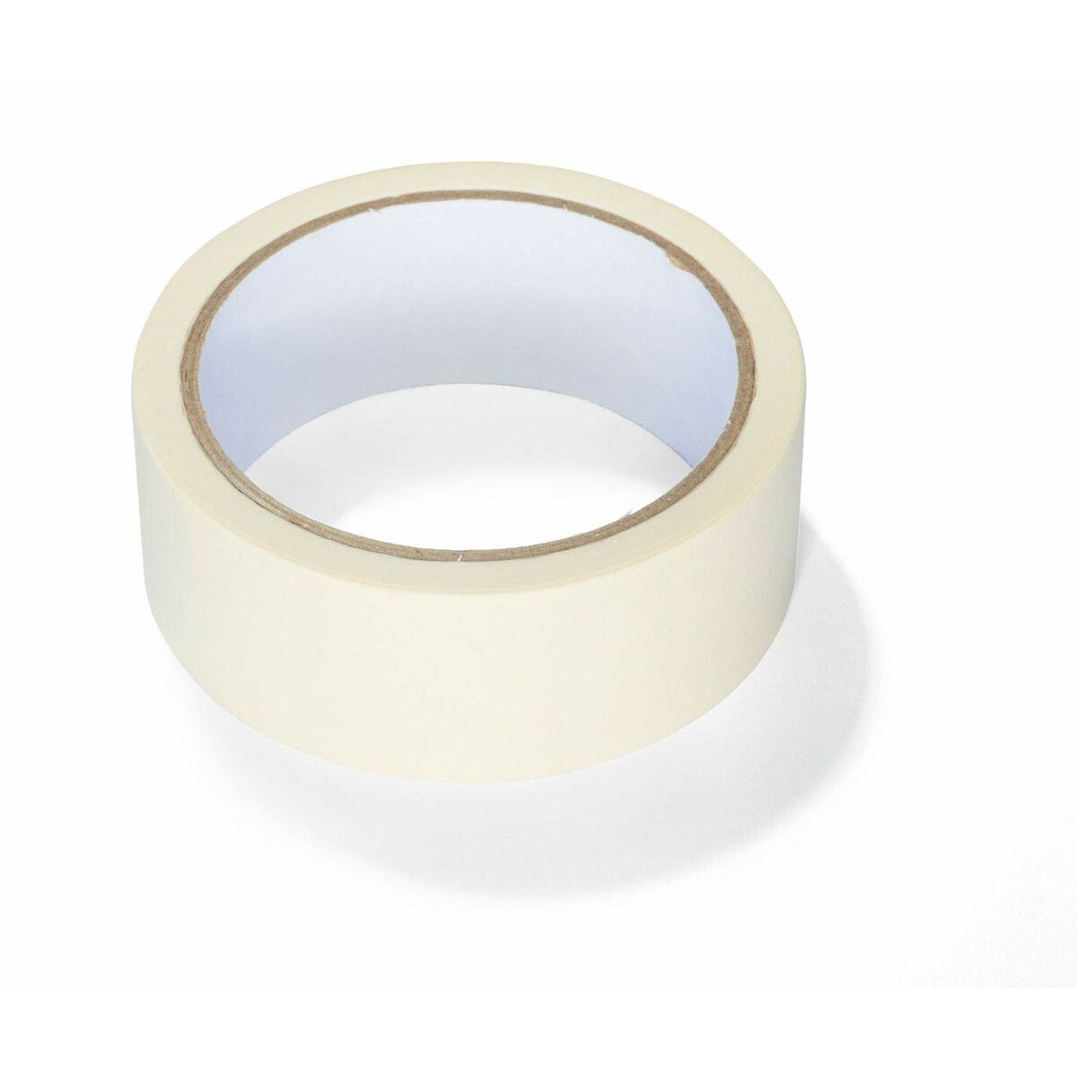 Wagner 2316444 Premium Maskeleme ve Koruyucu Boya Seti 6 Öğe-6