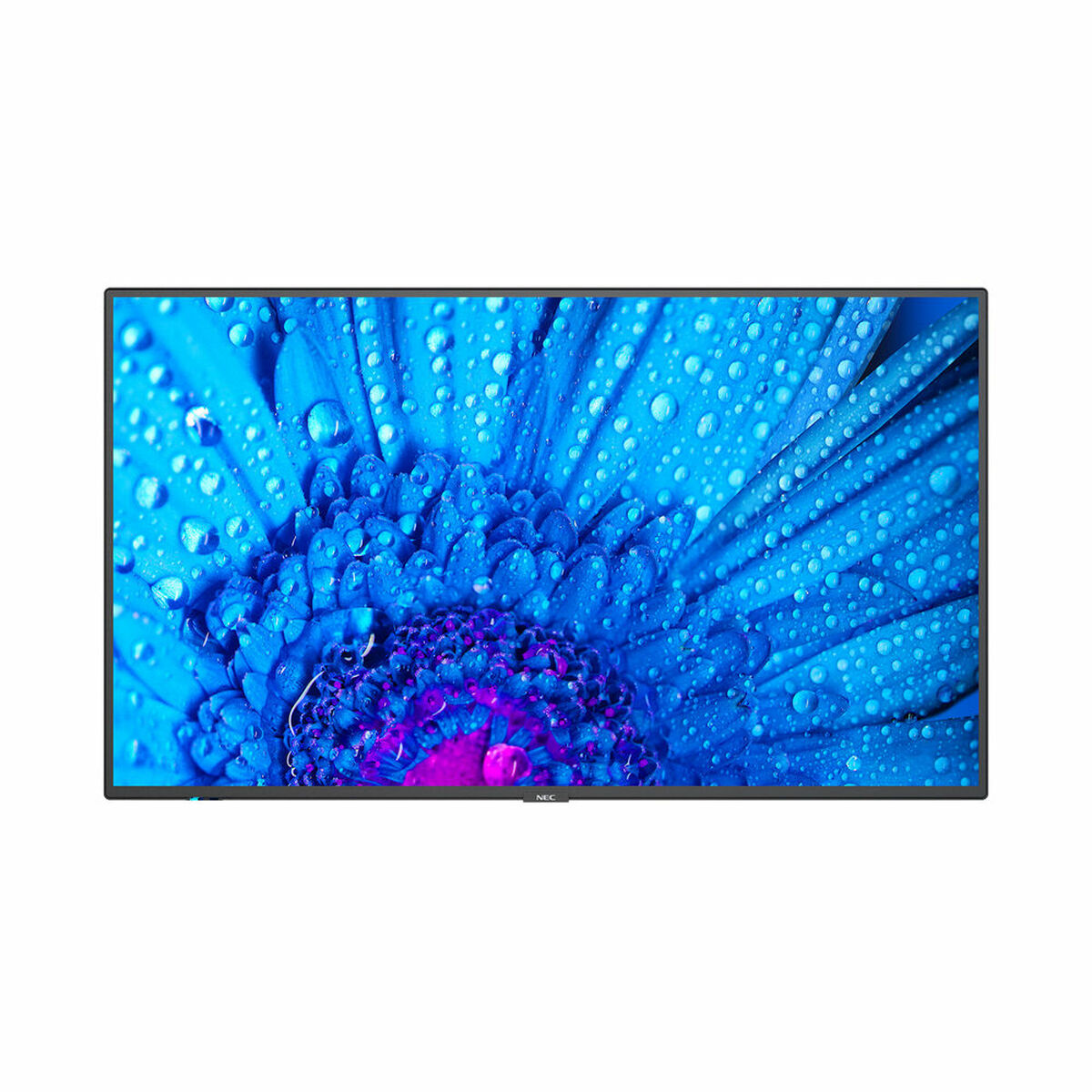 Монитор NEC MultiSync M491 49 4K Ultra HD IPS