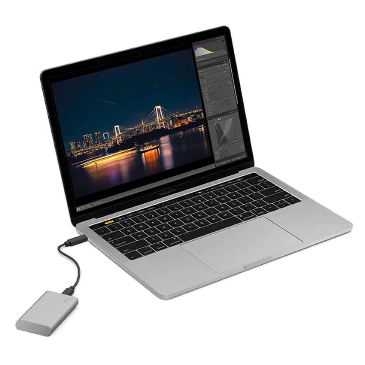 Seagate外置硬碟STKS1000400 2.5 1 TB SSD-5