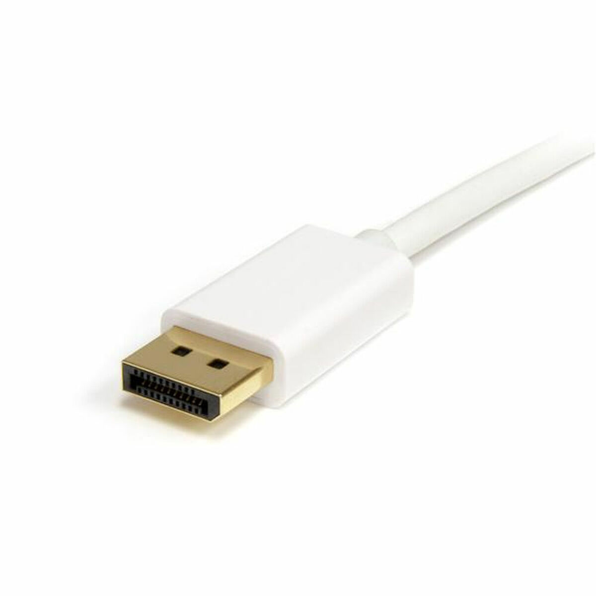 Кабель DisplayPort Mini на DisplayPort Startech MDP2DPMM2MW          (2 m) Белый 4K Ultra HD-2
