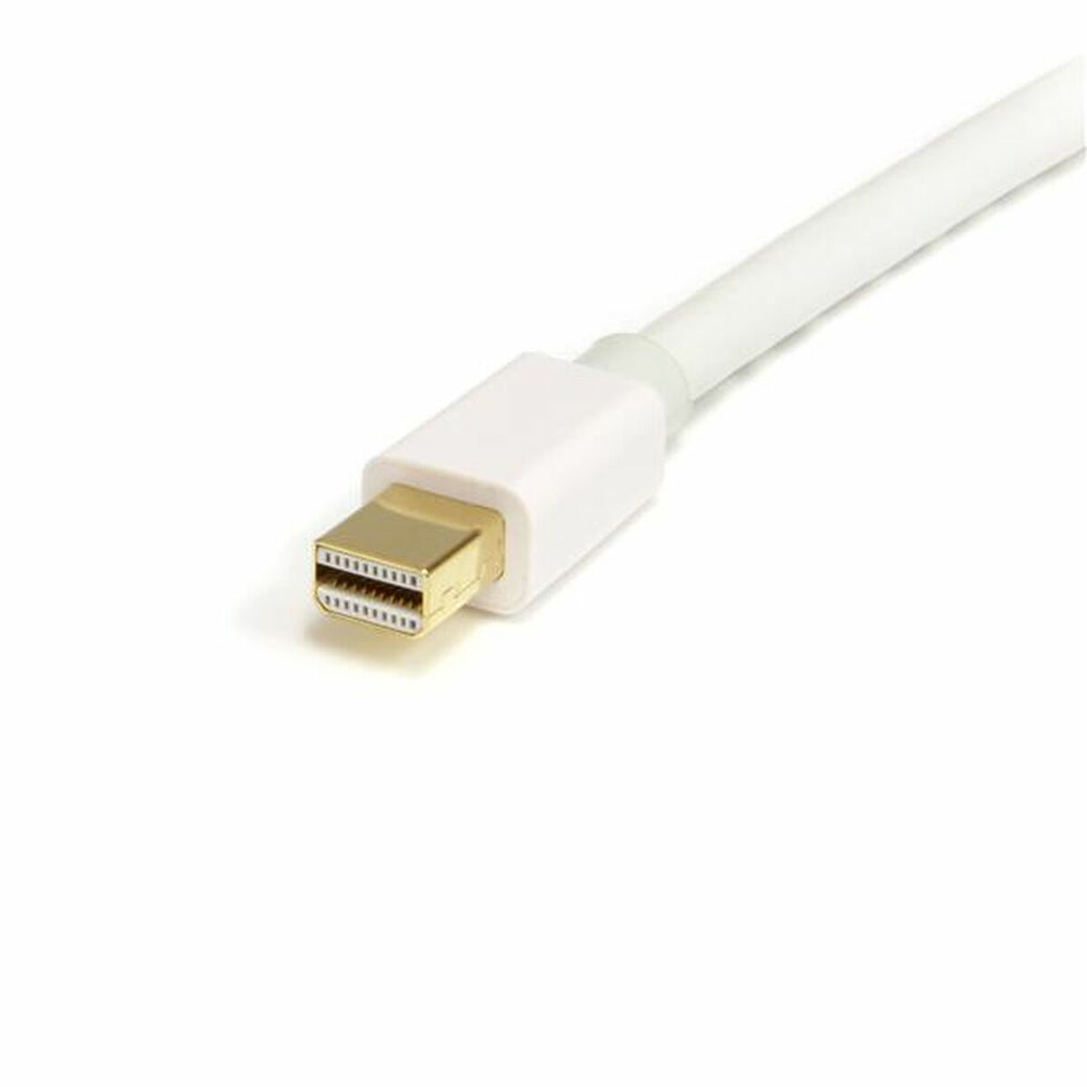 Кабель DisplayPort Mini на DisplayPort Startech MDP2DPMM2MW          (2 m) Белый 4K Ultra HD-3