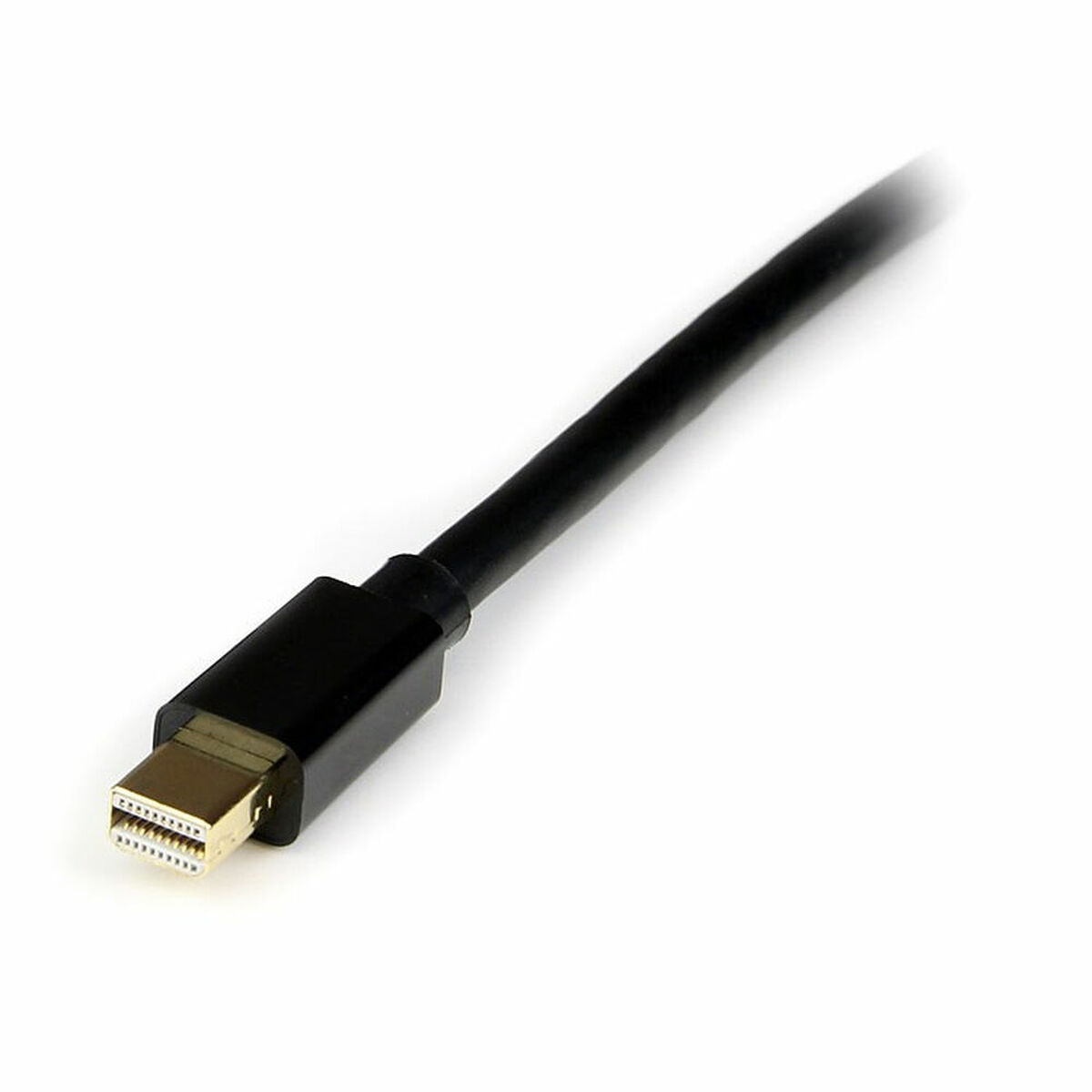 Кабель DisplayPort Mini на DisplayPort Startech MDP2DPMM4M     Чёрный 4 m-2